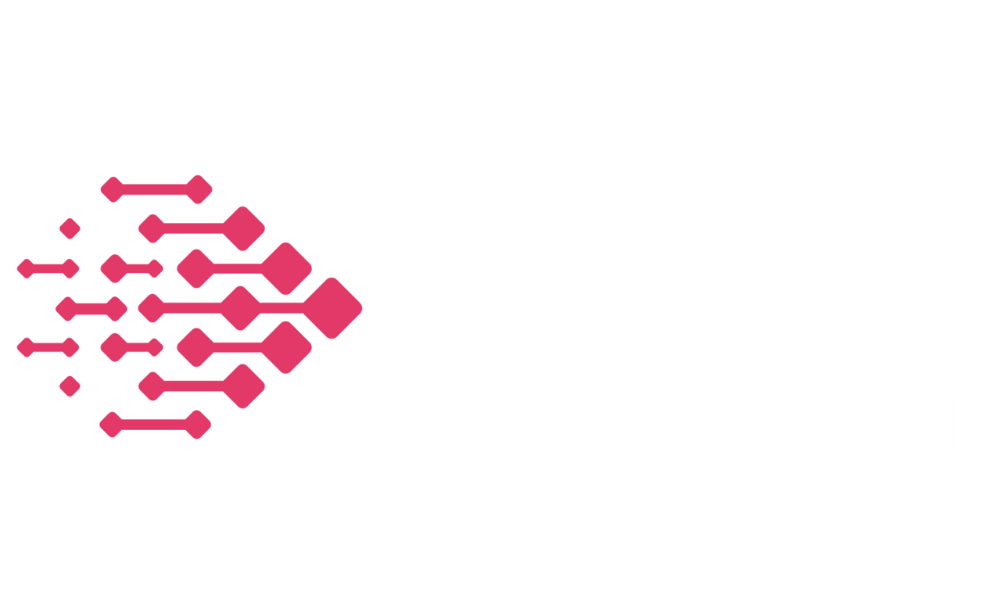 RapidSilicon
